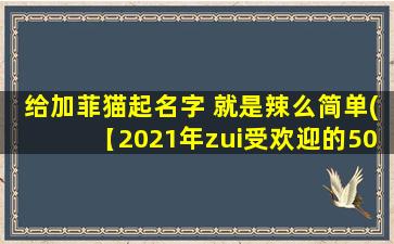 给加菲猫起名字 就是辣么简单(【2021年zui受欢迎的50个加菲猫名字，快来选一只可爱的小伙伴】)